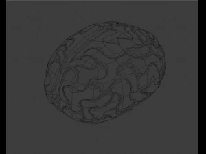 C&eacute;rebro Modelo 3D