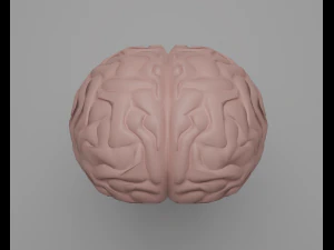 C&eacute;rebro Modelo 3D