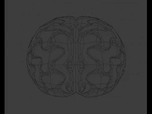C&eacute;rebro Modelo 3D