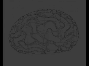 C&eacute;rebro Modelo 3D