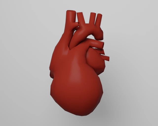 Сердце 3D Модель .c4d .max .obj .3ds .fbx .stl .blend 
