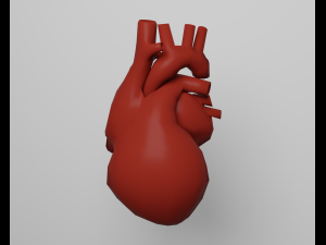 Heart 3D Model