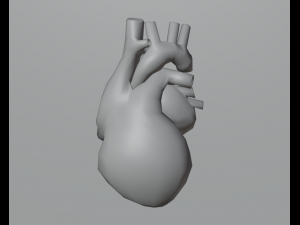 Heart 3Dモデル
