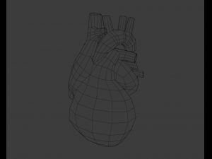 Heart 3Dモデル