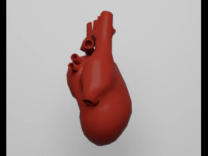 Сердце 3D Модель