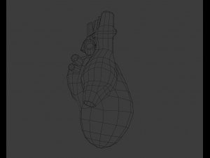 Heart 3Dモデル