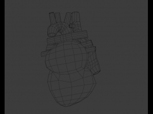 Heart 3Dモデル
