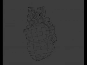 Сердце 3D Модель