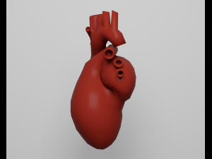 Heart 3Dモデル