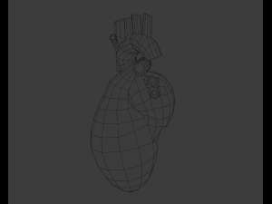 Heart 3Dモデル