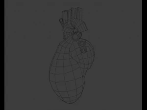 Сердце 3D Модель