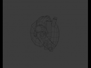Heart 3Dモデル
