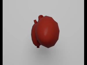 Сердце 3D Модель