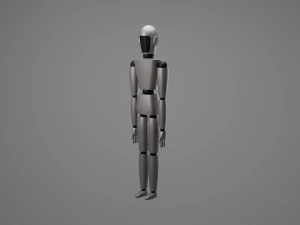 insansı 3D Model