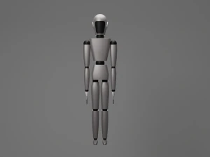 Humanoid 3D Model