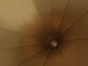 Grammofono Modello 3D