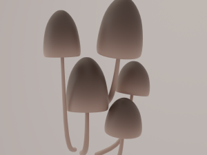 Fall terrace Modello 3D