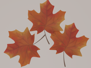 Fall terrace Modello 3D