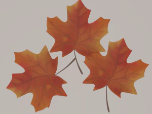 Fall terrace 3D Model