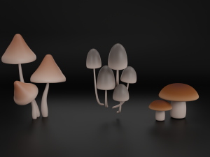Mushrooms 3D Model