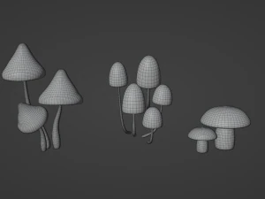 Mushrooms 3D Model