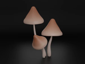 Mushrooms 3D Model