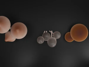 Mushrooms 3D Model