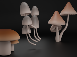 Mushrooms 3D Модель