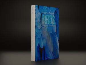 Books 3D Модель