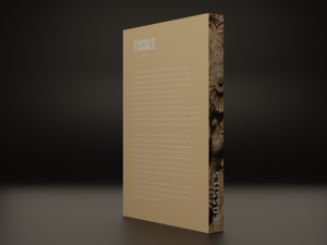 Books 3D Модель