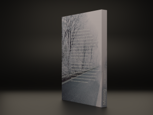 Books 3D Модель