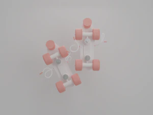 Patins Modelo 3D