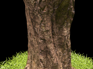 tree 3D 모델
