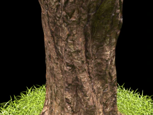 tree 3D Model