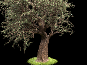 tree 3D 모델