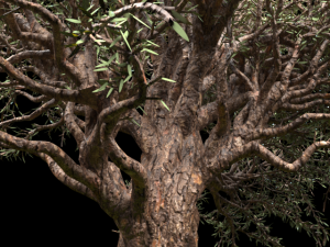 tree 3D 모델