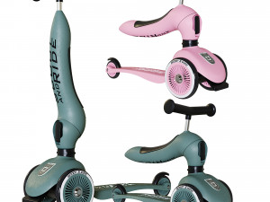Scoot and Ride Highwaykick Model 3D