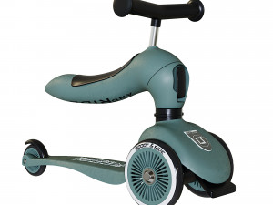 Scoot and Ride Highwaykick Model 3D
