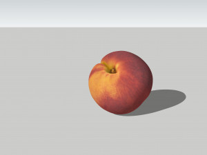 Peach photoscan Model 3D