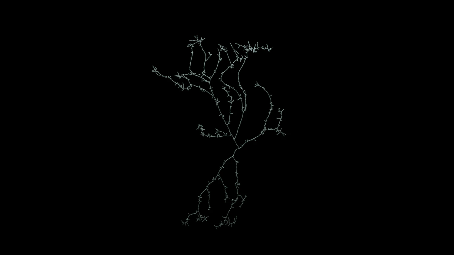 3D Neuron Model-01 3D Model .c4d .max .obj .3ds .fbx .stl .blend 