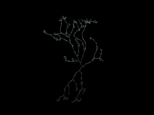 3D Neuron Model-01 3D Model