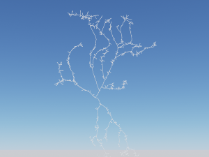 3D Neuron Model-01 3D Model
