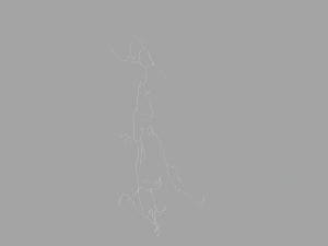3D Neuron Model-02 3Dモデル