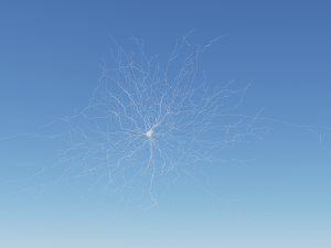 3D Neuron Model-03 3D Model