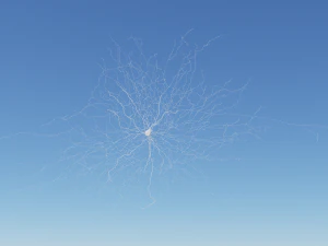 3D Neuron Model-03 3D Model