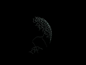 3D 뉴런 모델-04 3D 모델