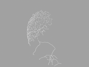 3D Neuron Model-04 3D Модель