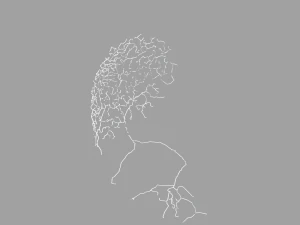 3D 뉴런 모델-04 3D 모델