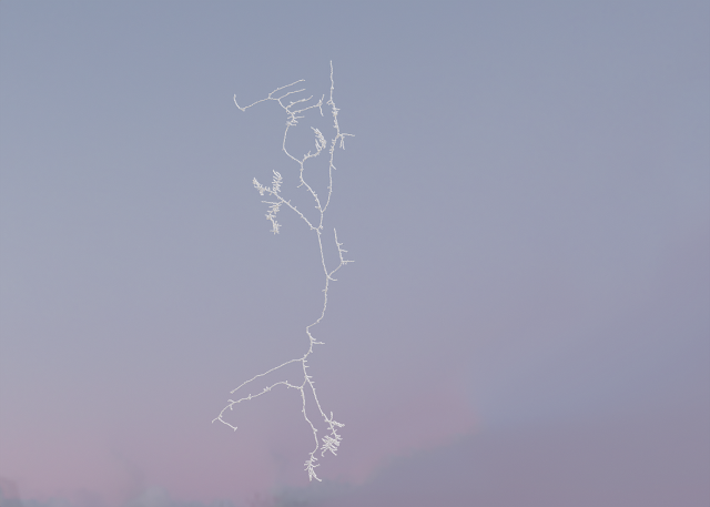 3D Neuron Model-05 3D Model .c4d .max .obj .3ds .fbx .stl .blend 