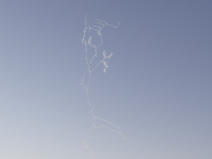 3D Neuron Model-05 3D Model